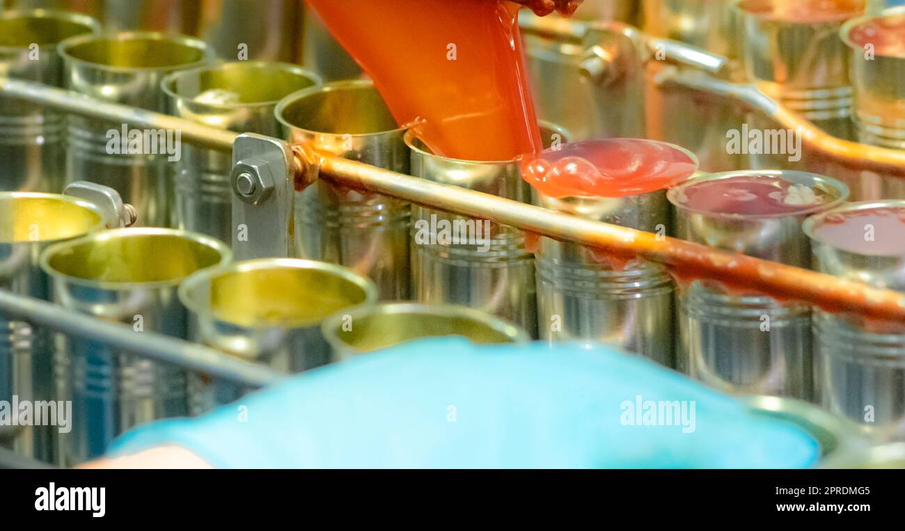 Canned fish factory. Food industry. Machine filling red tomato sauce into sardine can at food factory. Food processing production line. Food manufacturing industry. Cans of sardines on conveyor belt. Stock Photo