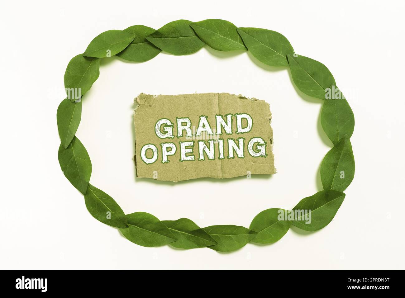 Conceptual caption Grand Opening. Word for Ribbon Cutting New Business First Official Day Launching Blank Color Paper Between Leaves Wreath For Wedding Invitation. Stock Photo