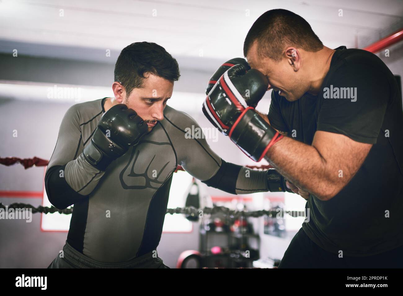 Male boxers facing each other hires stock photography and images Alamy