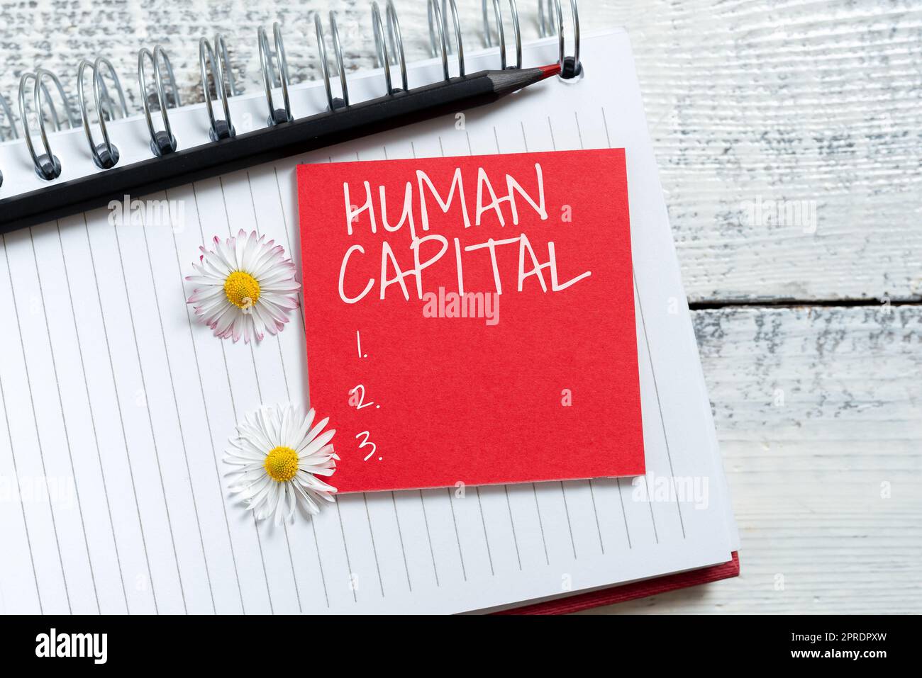 Text caption presenting Human Capital. Word Written on Intangible Collective Resources Competence Capital Education Sticky Note With New Ideas Over Notebook With Pencil And Flowers Around. Stock Photo