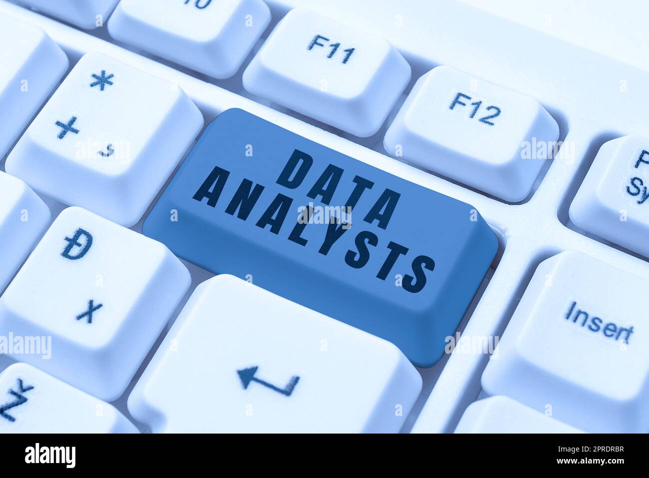 Conceptual caption Data Analysts. Internet Concept Programmer Design and Create Report Identifies patterns -48675 Stock Photo