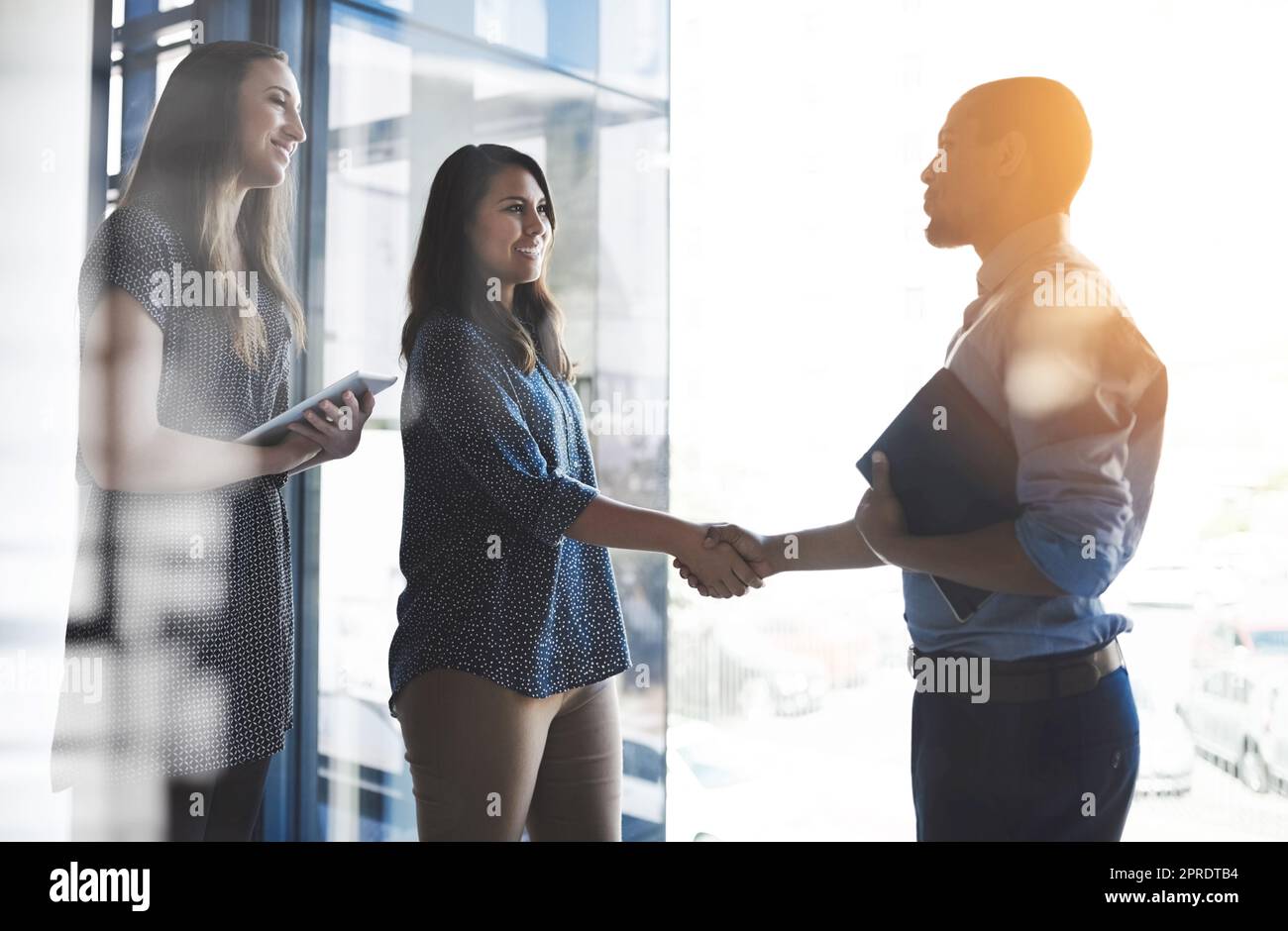Handshake greeting between business women, entrepreneur and accountant