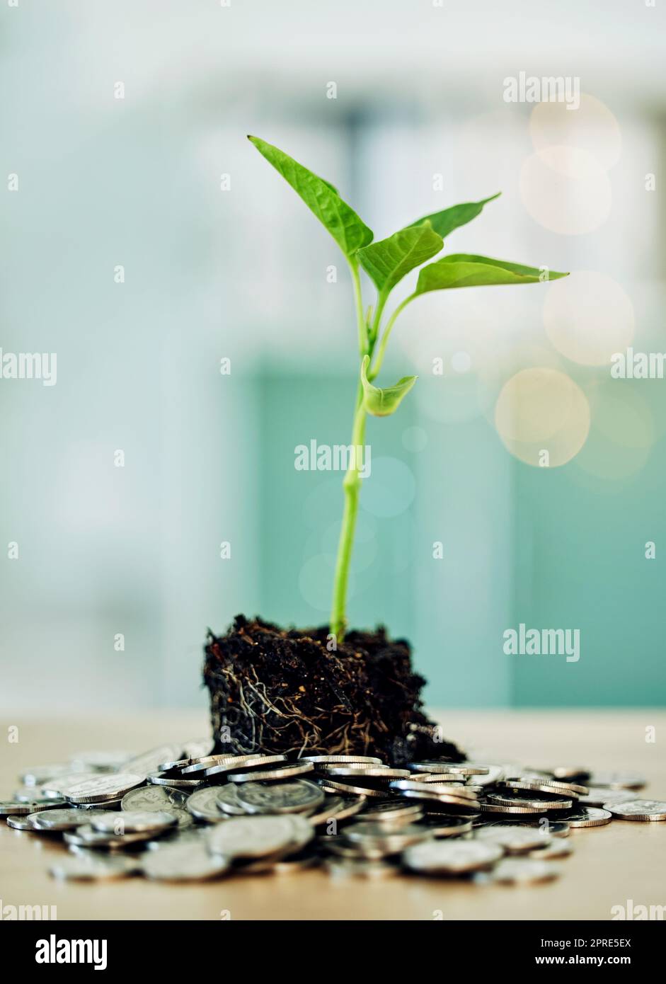 Investment and development in environment benefit eco friendly market and businesses. Coins and green plant show money growth, financial sustainability and future savings in finance sector or economy Stock Photo