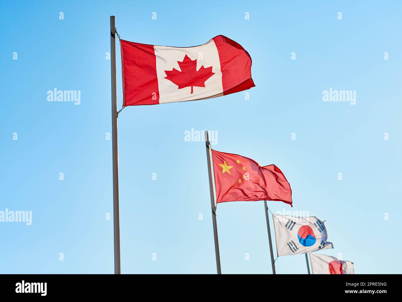 I would love to visit those countries. a variety of different kinds of countrys flags standing next to each other outside during the day. Stock Photo