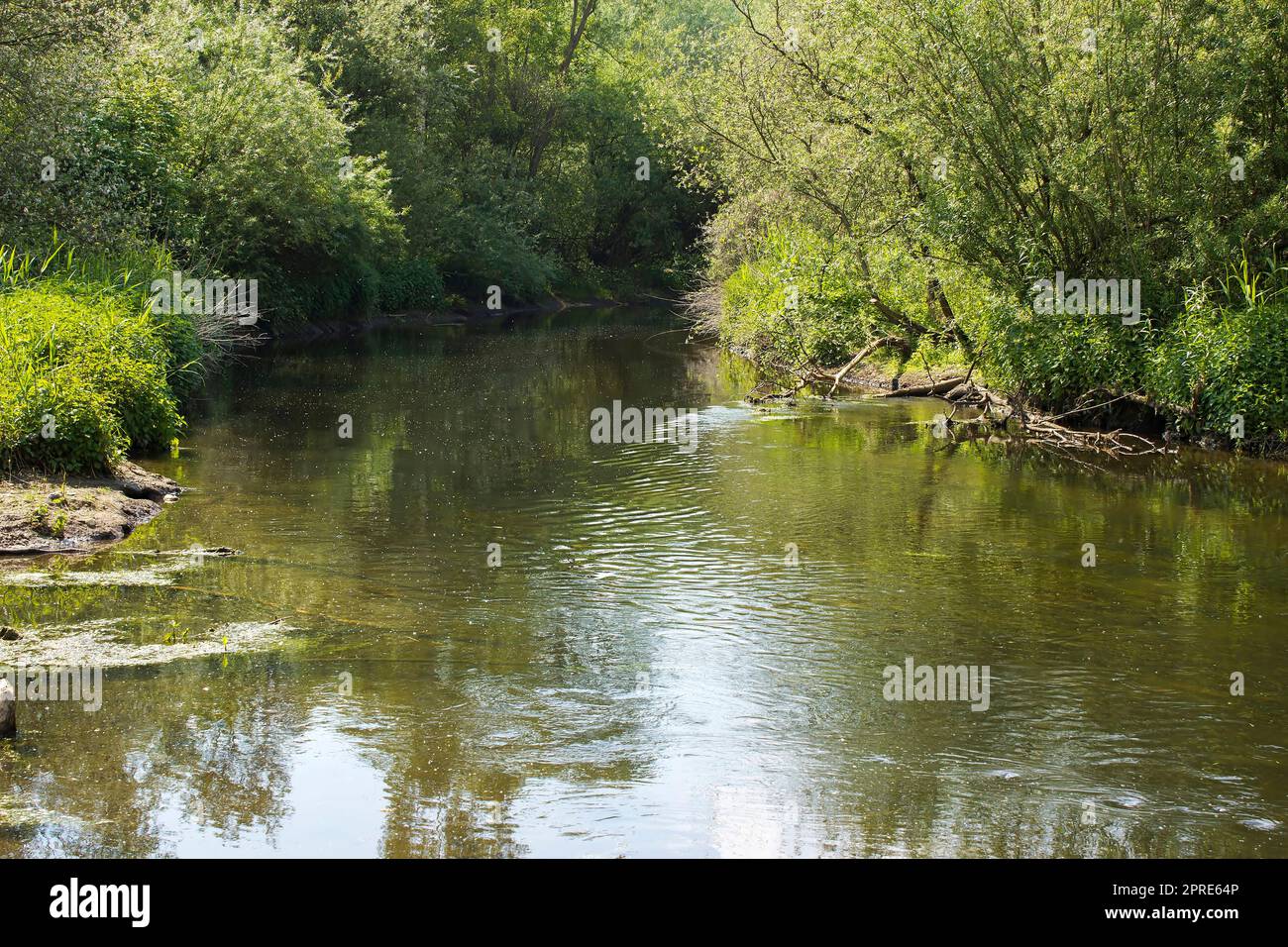 Niers River, Geldern, Germany Stock Photo