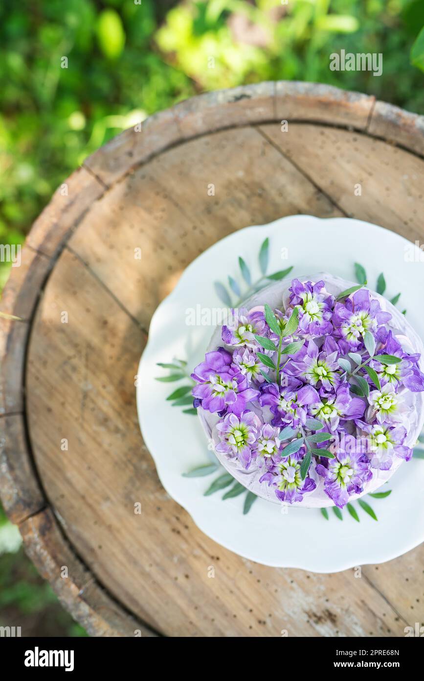 Very beautiful bento cake with purple matthiola flowers with green leaves, top view. Birthday. Stock Photo