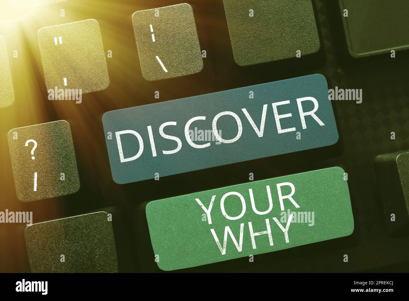 Reason One Sign Text sign showing Discover Your Why, Concept meaning knowing the reason ...