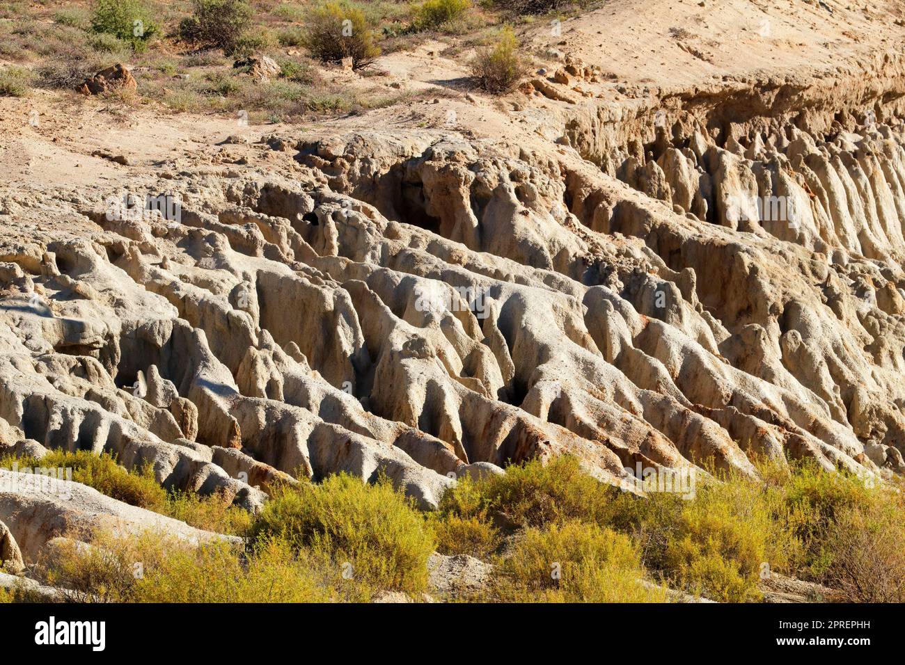 Example of severe soil erosion in an arid region of South Africa Stock