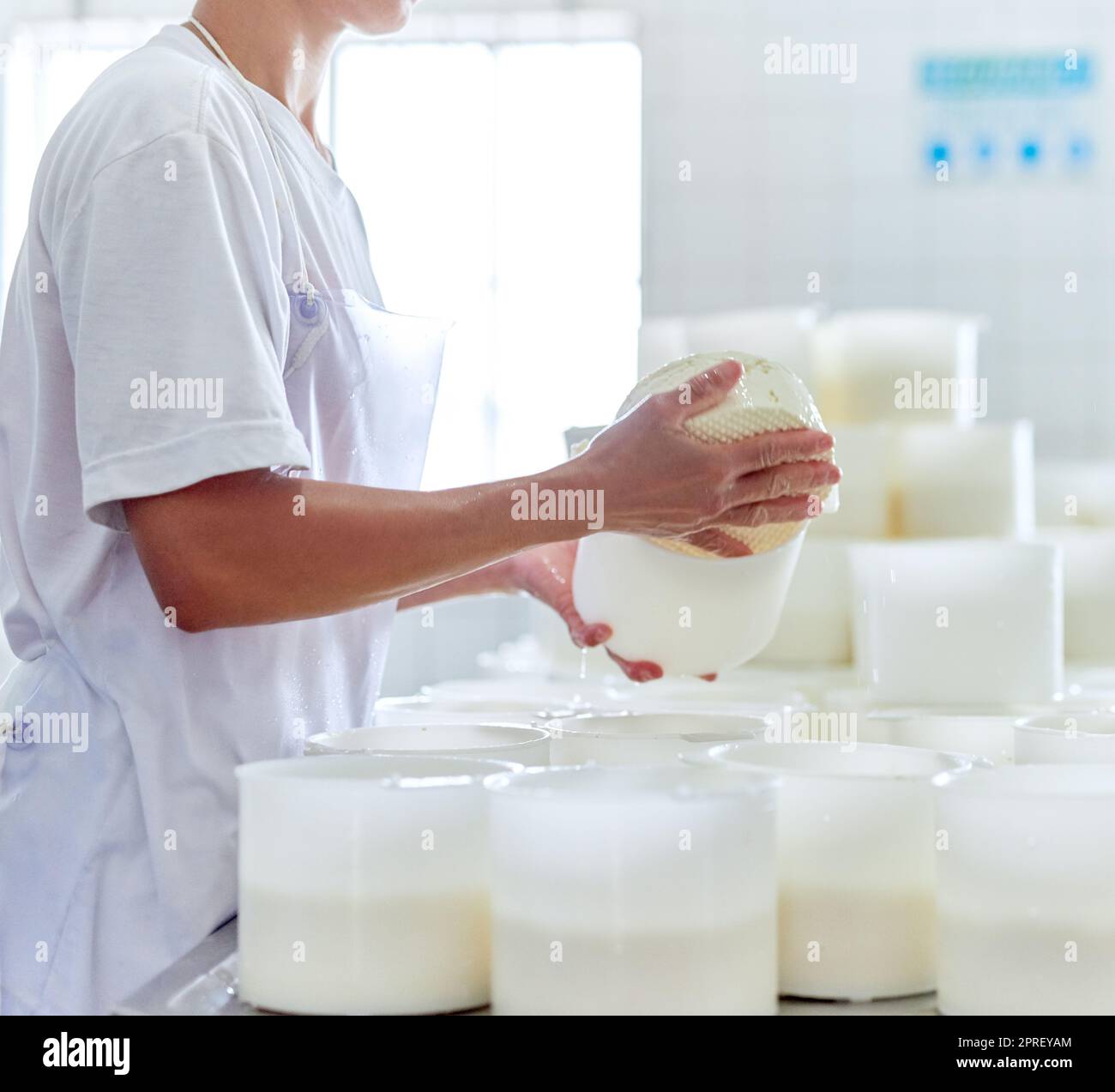 Getting them ready for packaging. an unrecognizable woman working in a cheese factory. Stock Photo