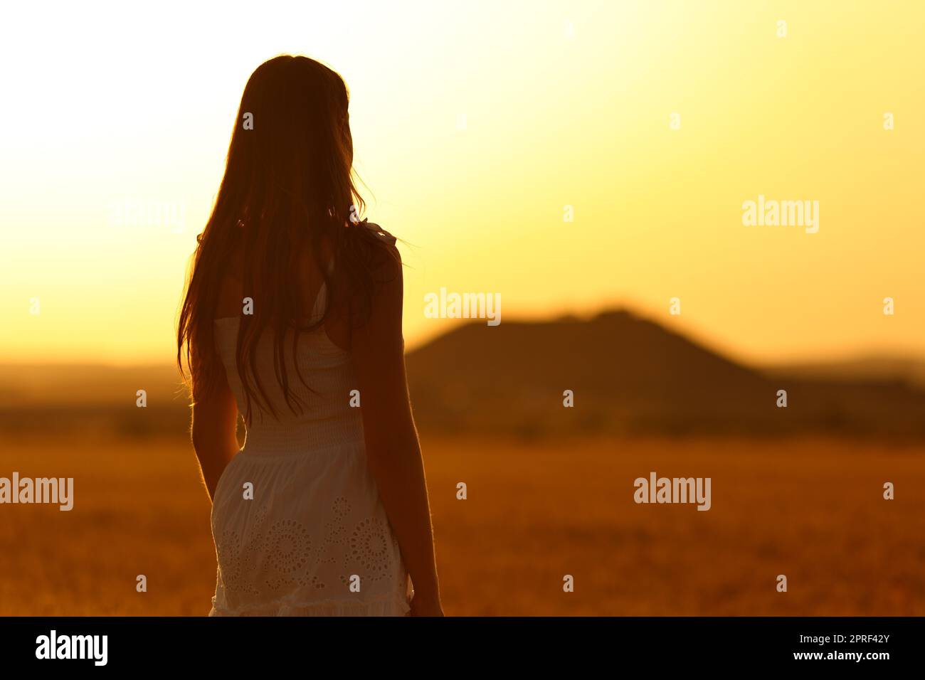 Woman silhouette standing in a wheat field at sunset Stock Photo - Alamy