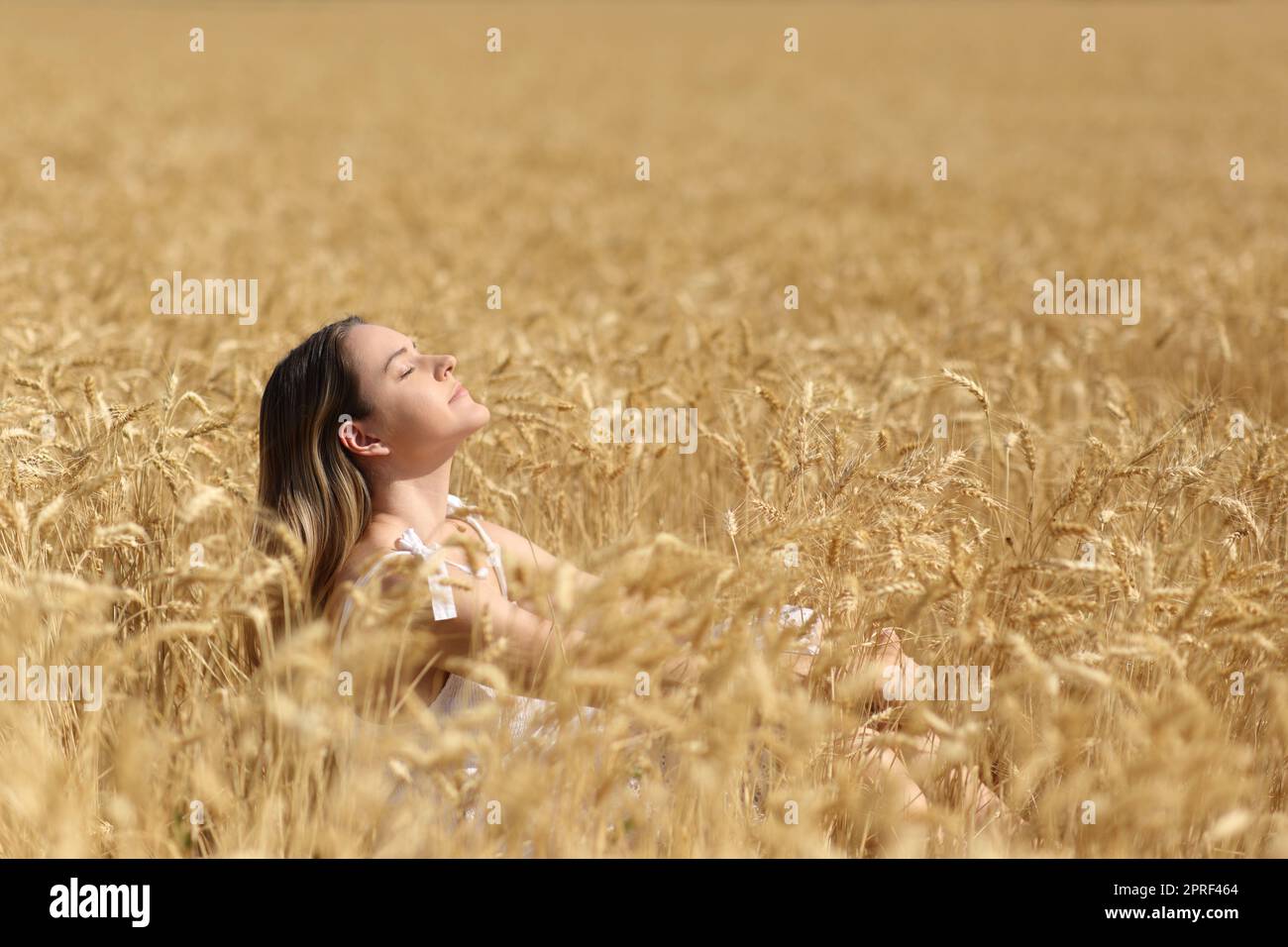 Woman breathing fresh air in a golden wheat field Stock Photo - Alamy