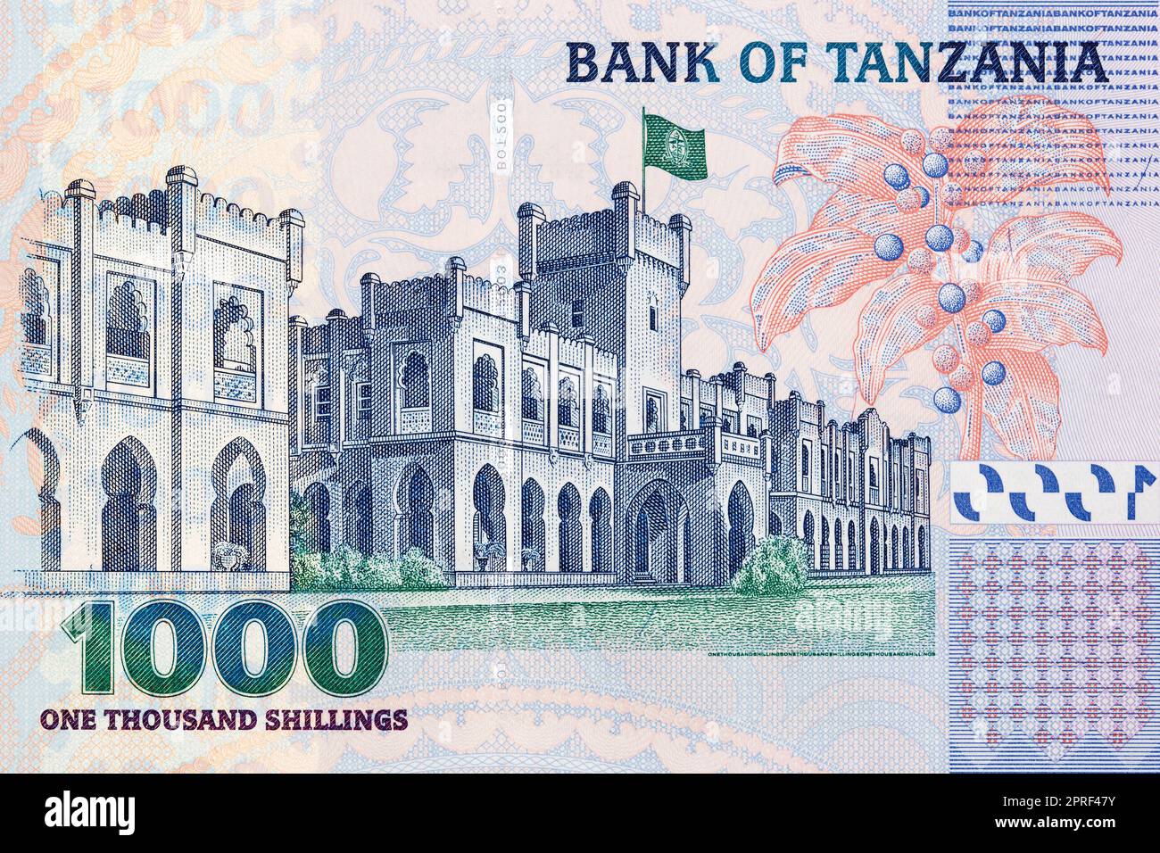 Statehouse from Tanzanian money Stock Photo