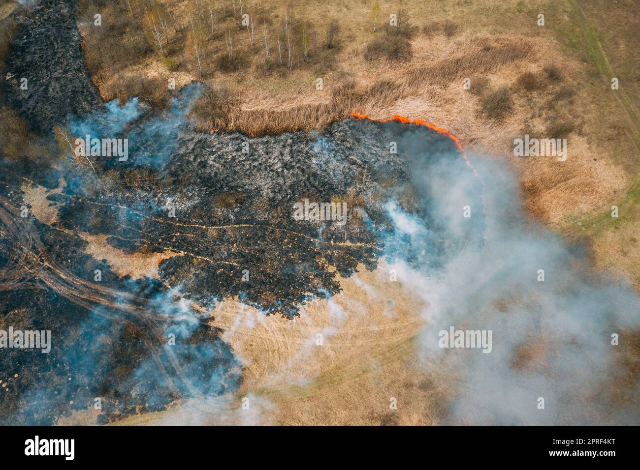 Aerial View. Dry Grass Burns During Drought And Hot Weather. Bush Fire And Smoke In Meadow Field. Wild Open Fire Destroys Grass. Nature In Danger. Ecological Problem Air Pollution. Natural Disaster Stock Photo