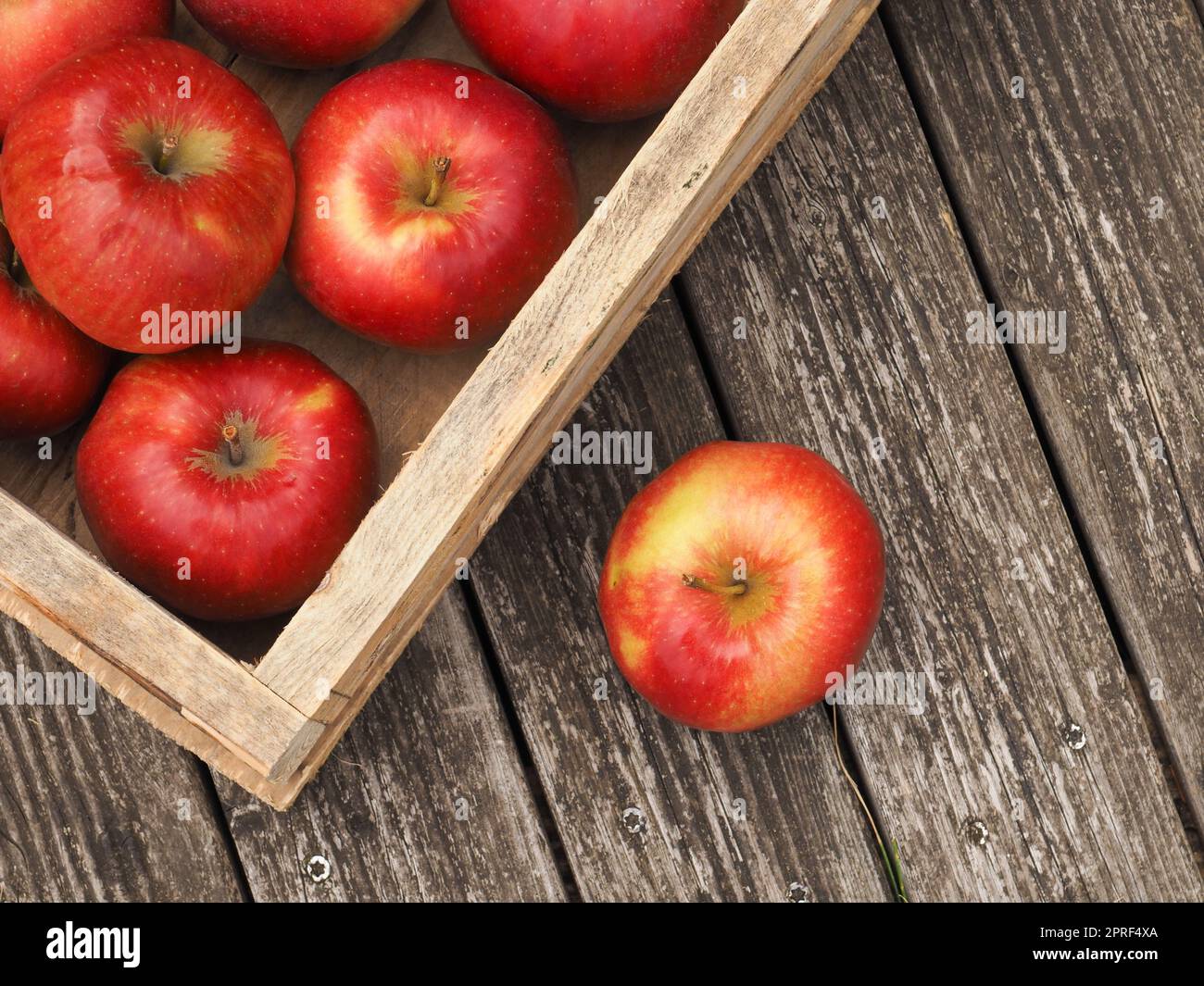 Premium Photo  Harvest of fresh organic red apples in the black boxes