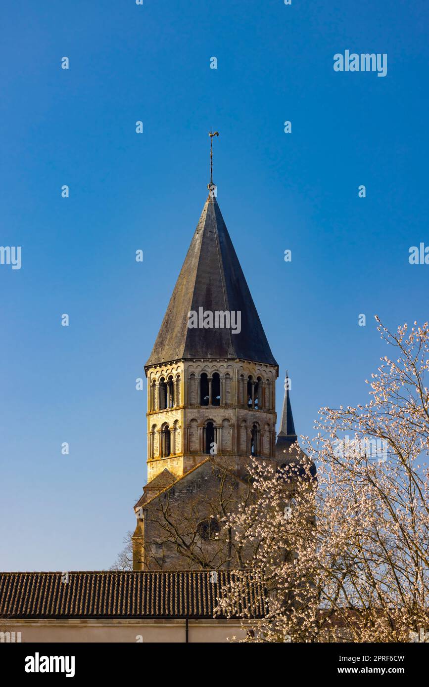 Benedictine abbey Cluny, Saone et Loire department, Bourgogne region, France Stock Photo