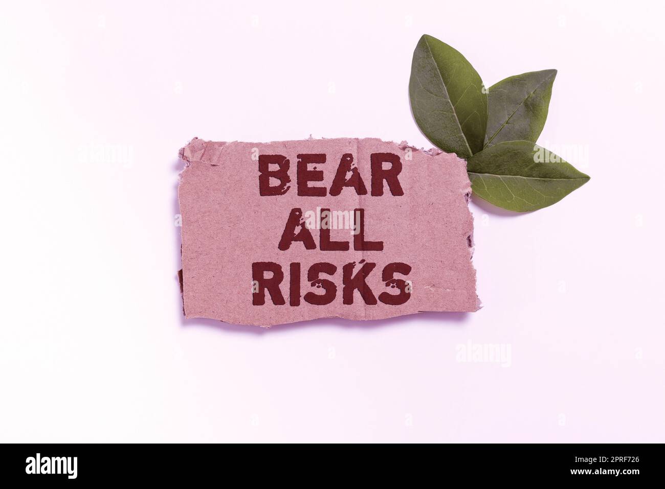 Writing displaying text Bear All Risks. Internet Concept Be aware of all things that can go wrong Financial protection Businessman Holding A Pad With Laptop And Other Signs Giving Crucial Data. Stock Photo