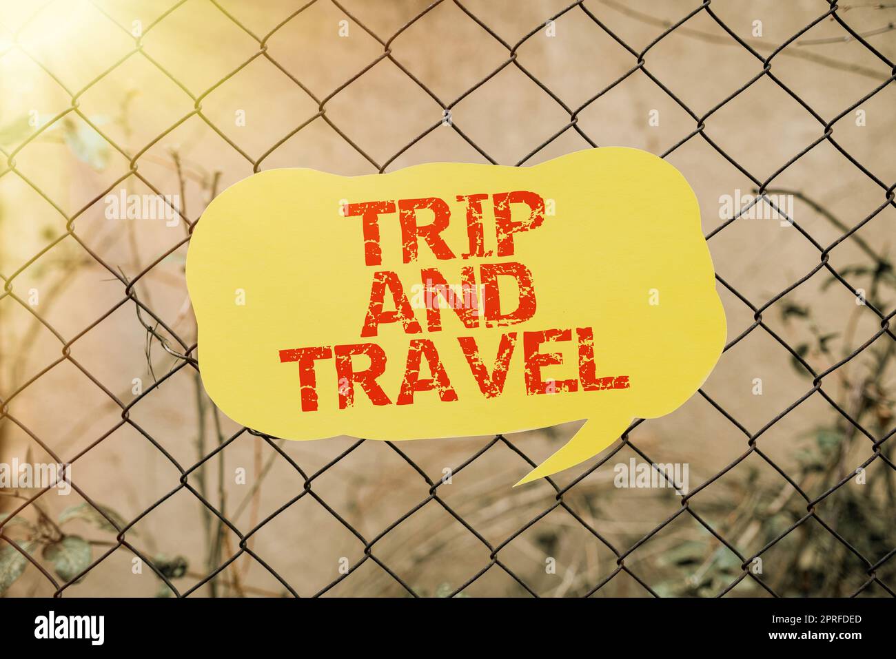 Text sign showing Trip And Travel. Word for Journeys for vacation cheerful happy knowing new places Businesswoman Holding Marker With One Hand And Pointing Important Ideas. Stock Photo