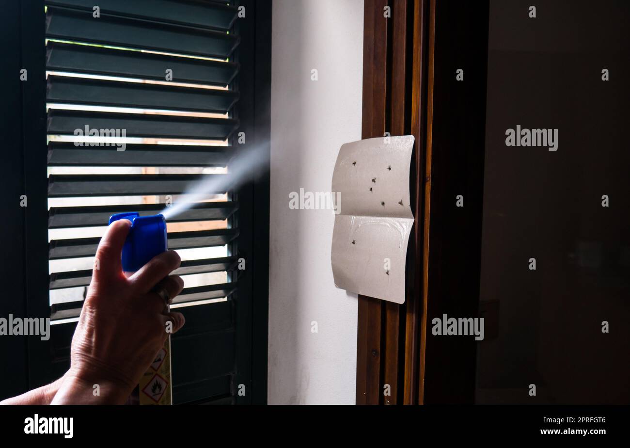 hand using mosquito insecticide spray to kill flies and mosquitoes