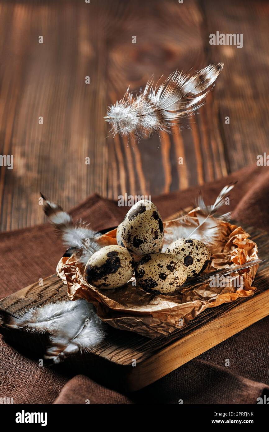 Feathers falling on a bowl with quail eggs Stock Photo