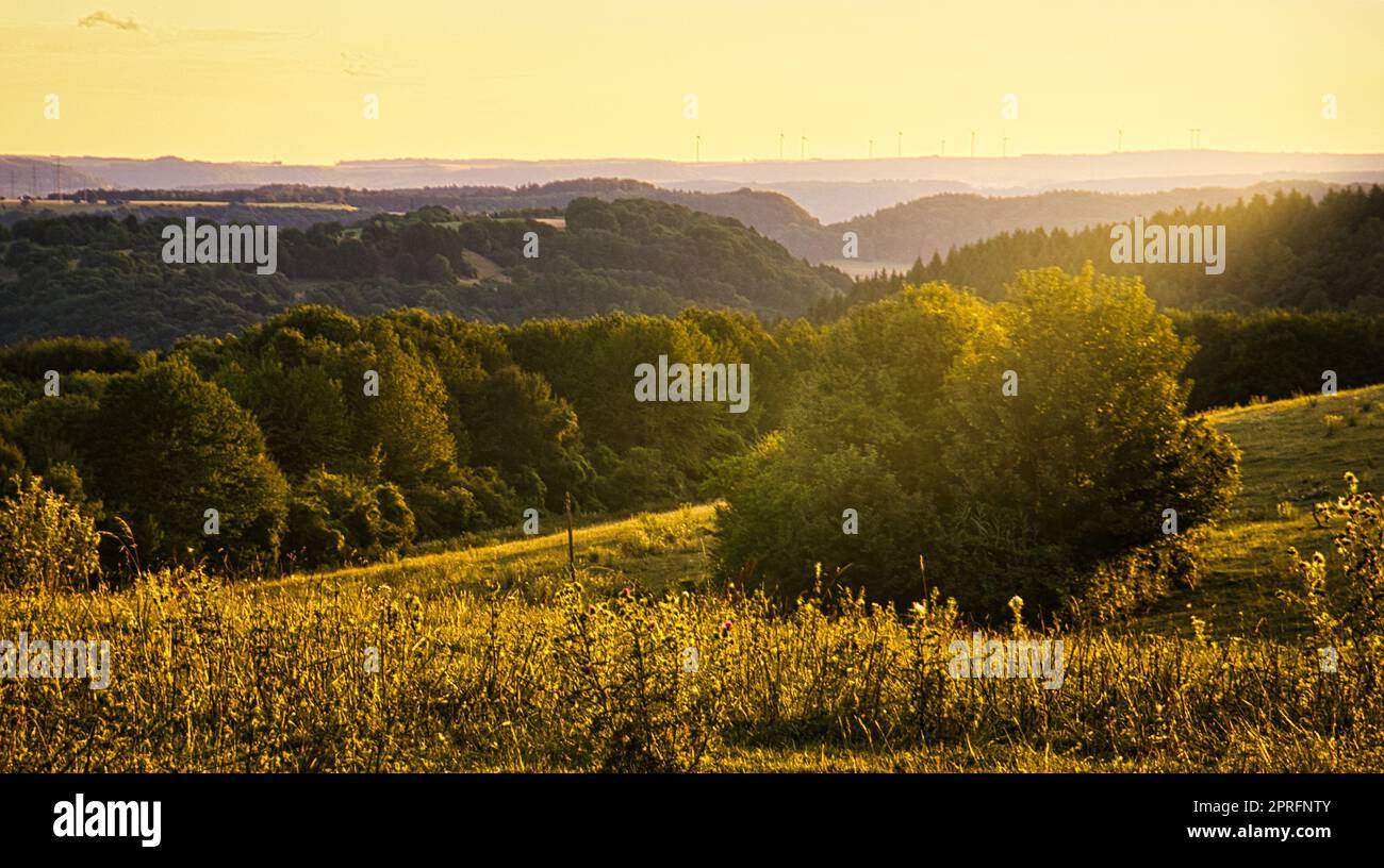 Sunset in Saarland on a meadow with trees and view into the valley. warm atmosphere Stock Photo