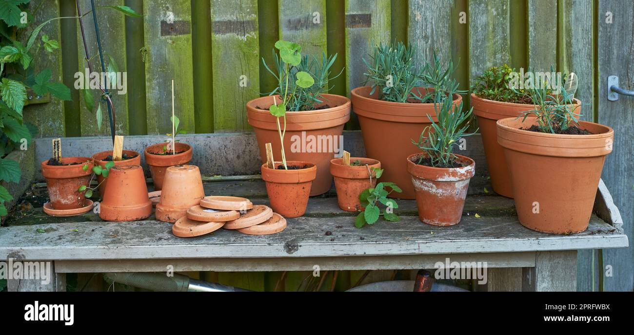 Gardeners corner. Stacks of flower pots in a gardeners corner Stock
