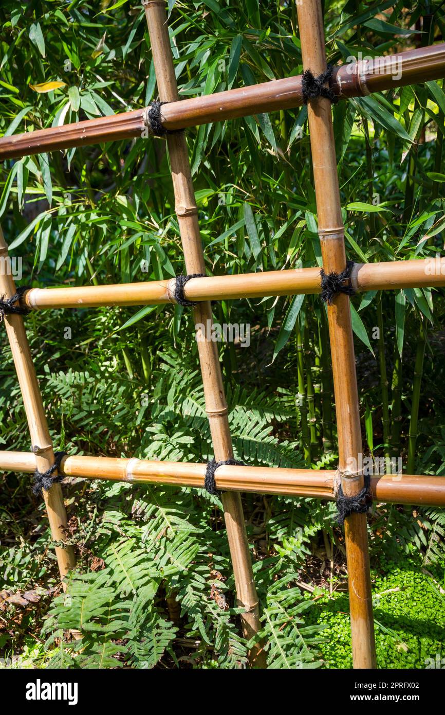 Bamboo fence closeup view in a japanese garden Stock Photo