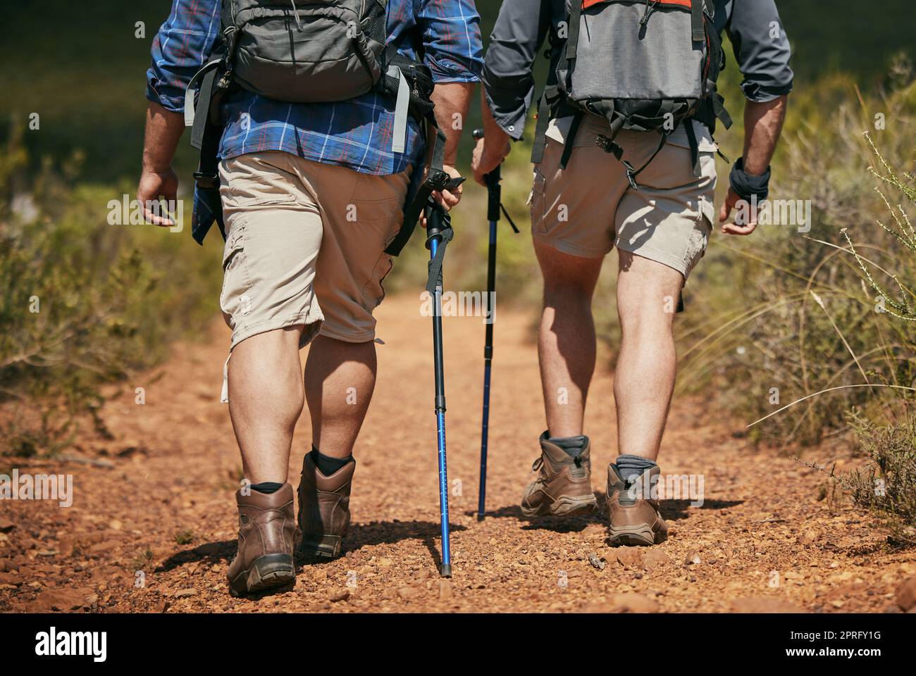 Nature hiking, fitness and exercise of friends walking on a mountain forest park ground trail. Walk adventure trekking workout with green grass and plants on a outside runner, hike or foot path track Stock Photo