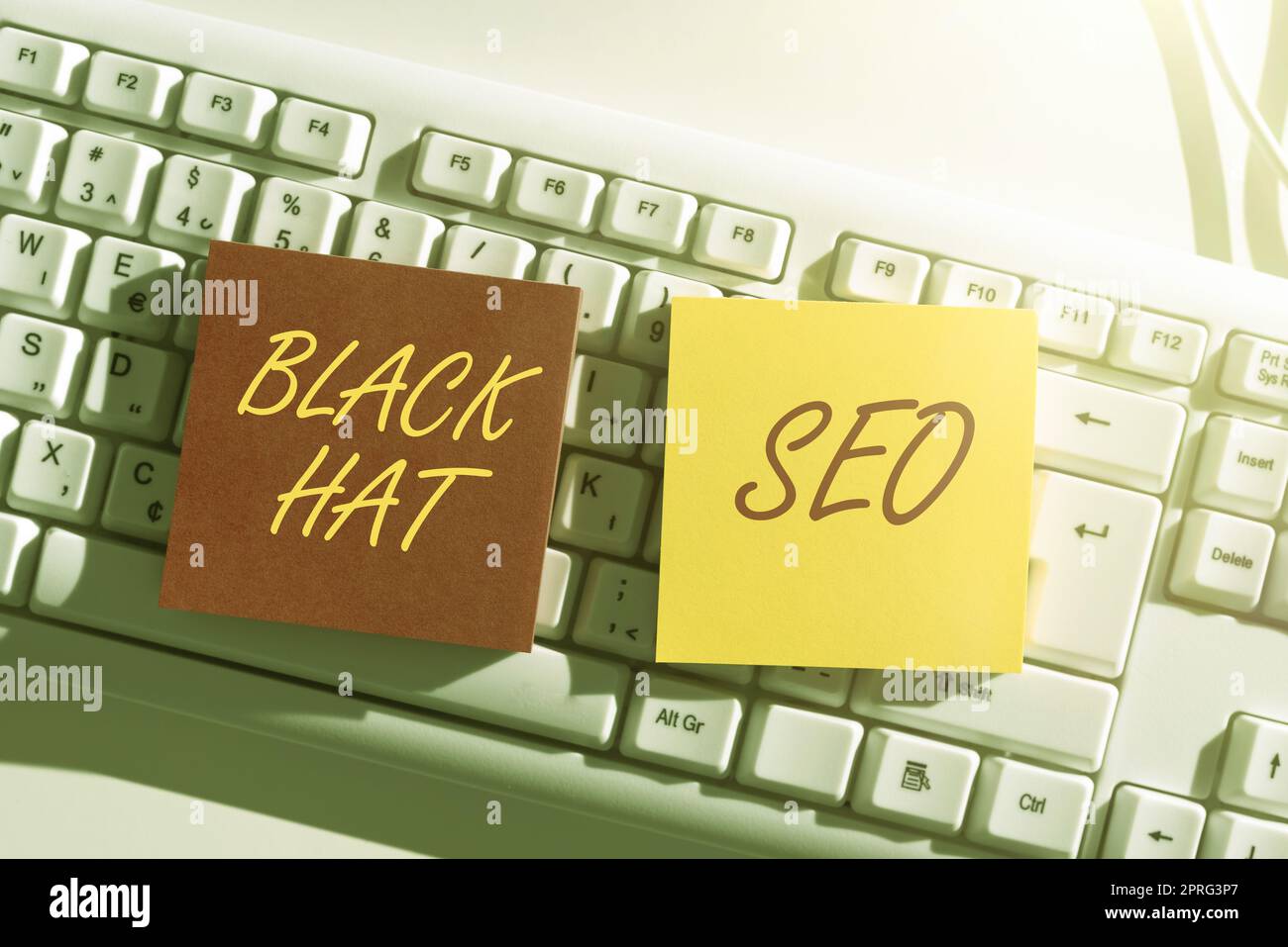 Writing displaying text Black Hat Seo. Word for Search Engine Optimization using techniques to cheat browsers Lady in suit holding pen symbolizing successful teamwork accomplishments. Stock Photo