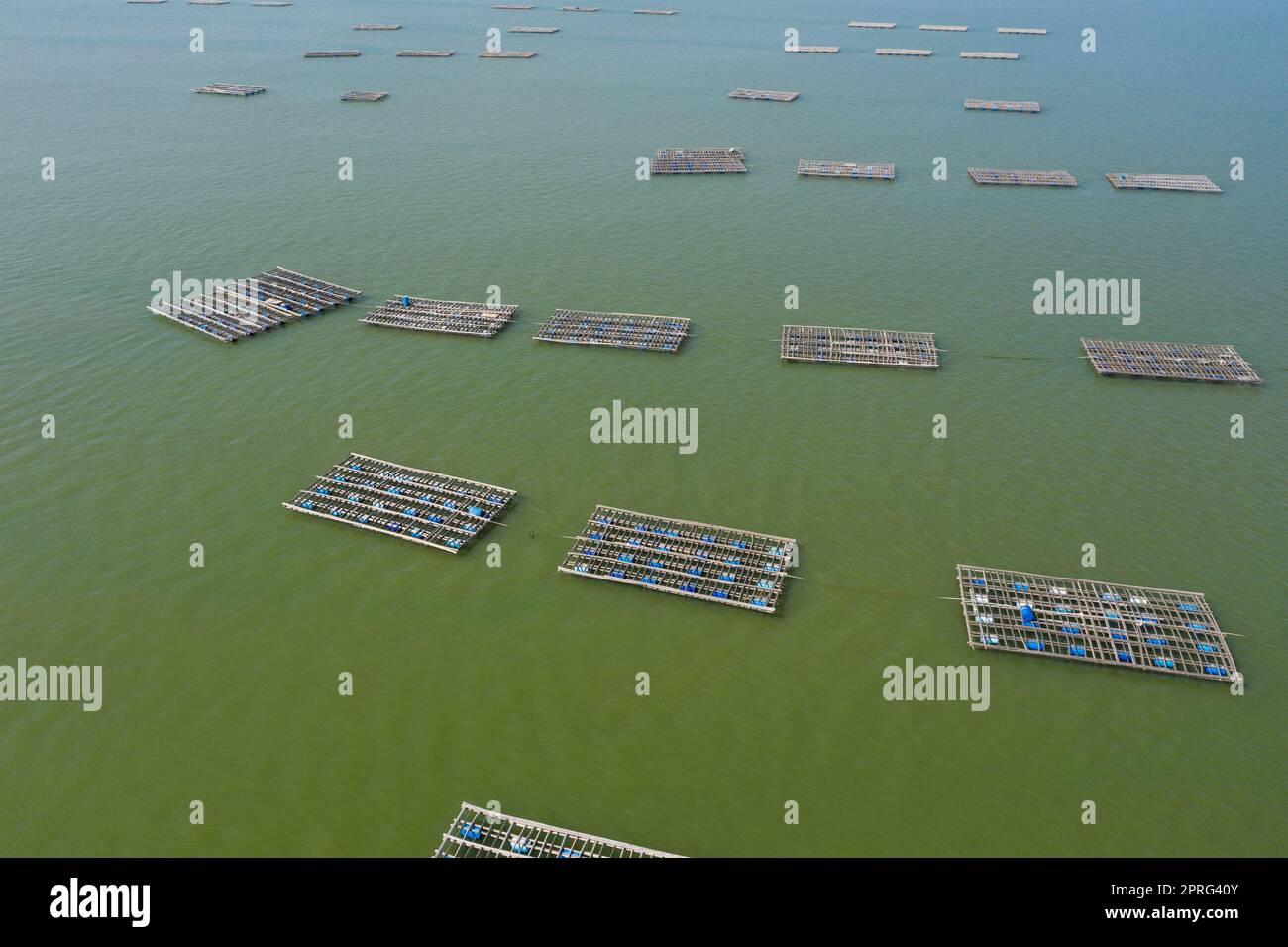 Yuen Long Lau Fau Shan oyster farm in Hong Kong Stock Photo Alamy
