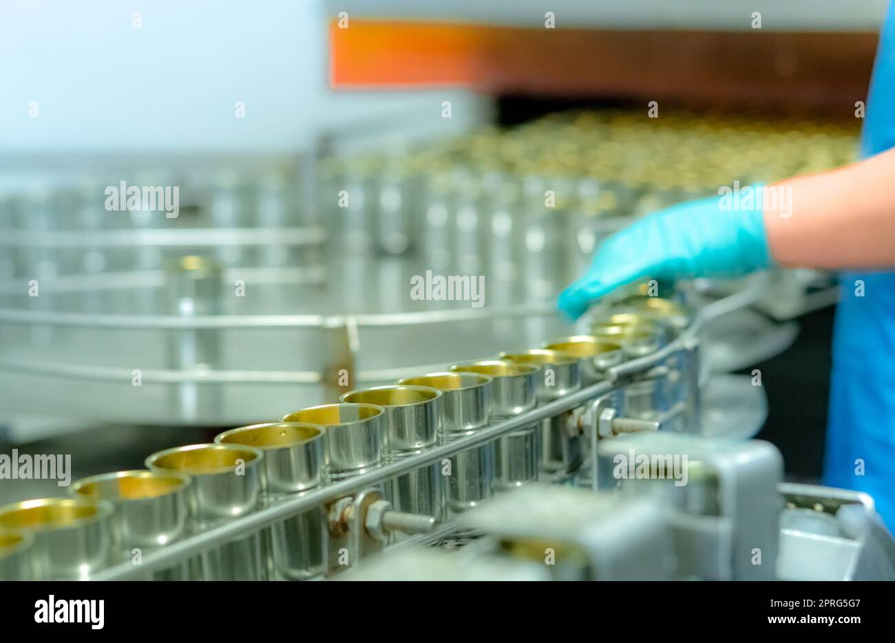 Canned fish factory. Food industry. Food processing production line. Food manufacturing industry