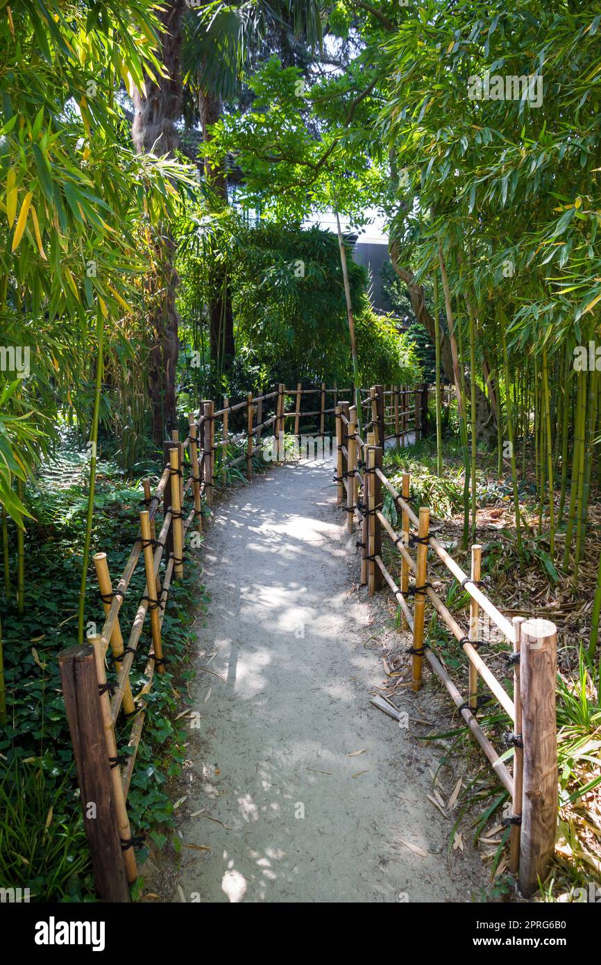 Bamboo path in a japanese garden Stock Photo