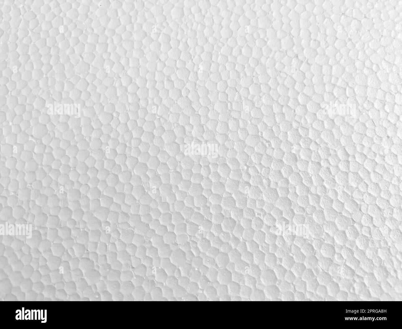 closeup photo of foam sheet Stock Photo Alamy