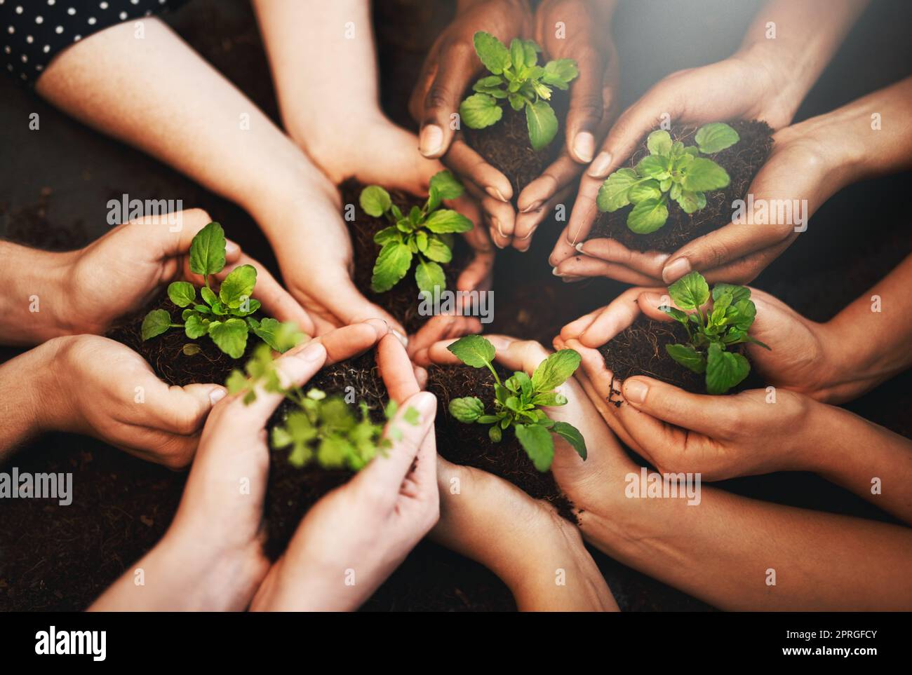 Were all responsible for how we treat the world. a group of people holding plants growing out of soil. Stock Photo