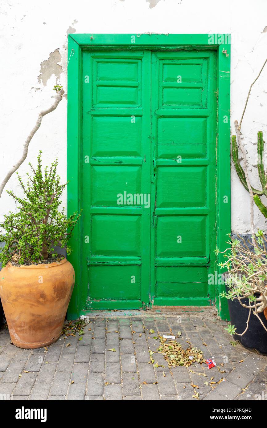 Old painted wooden front door. Background. Stock Photo