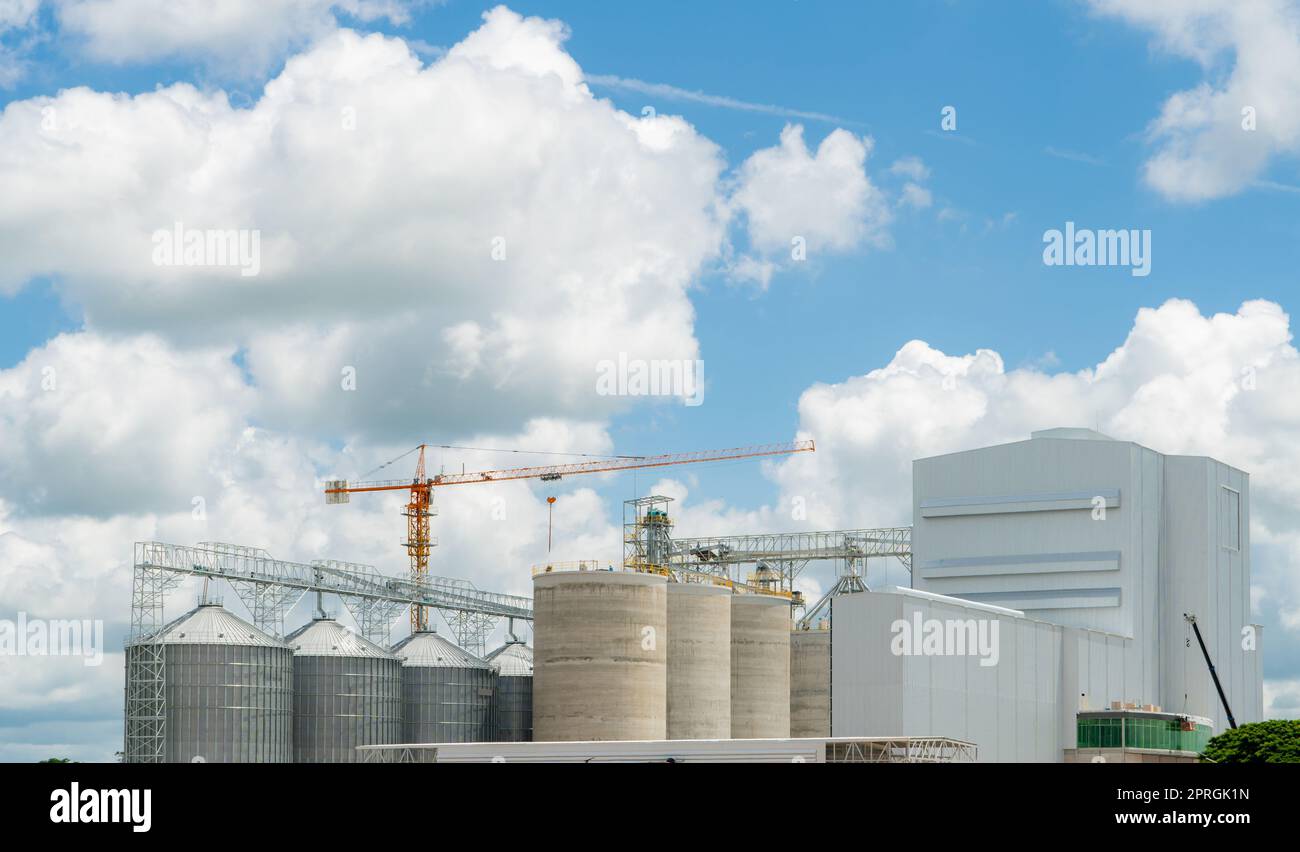 Animal feed factory construction site. Agricultural silo at feed mill factory. Tank for store grain in feed manufacturing. Seed stock tower for commercial animal feed production. Animal food industry. Stock Photo