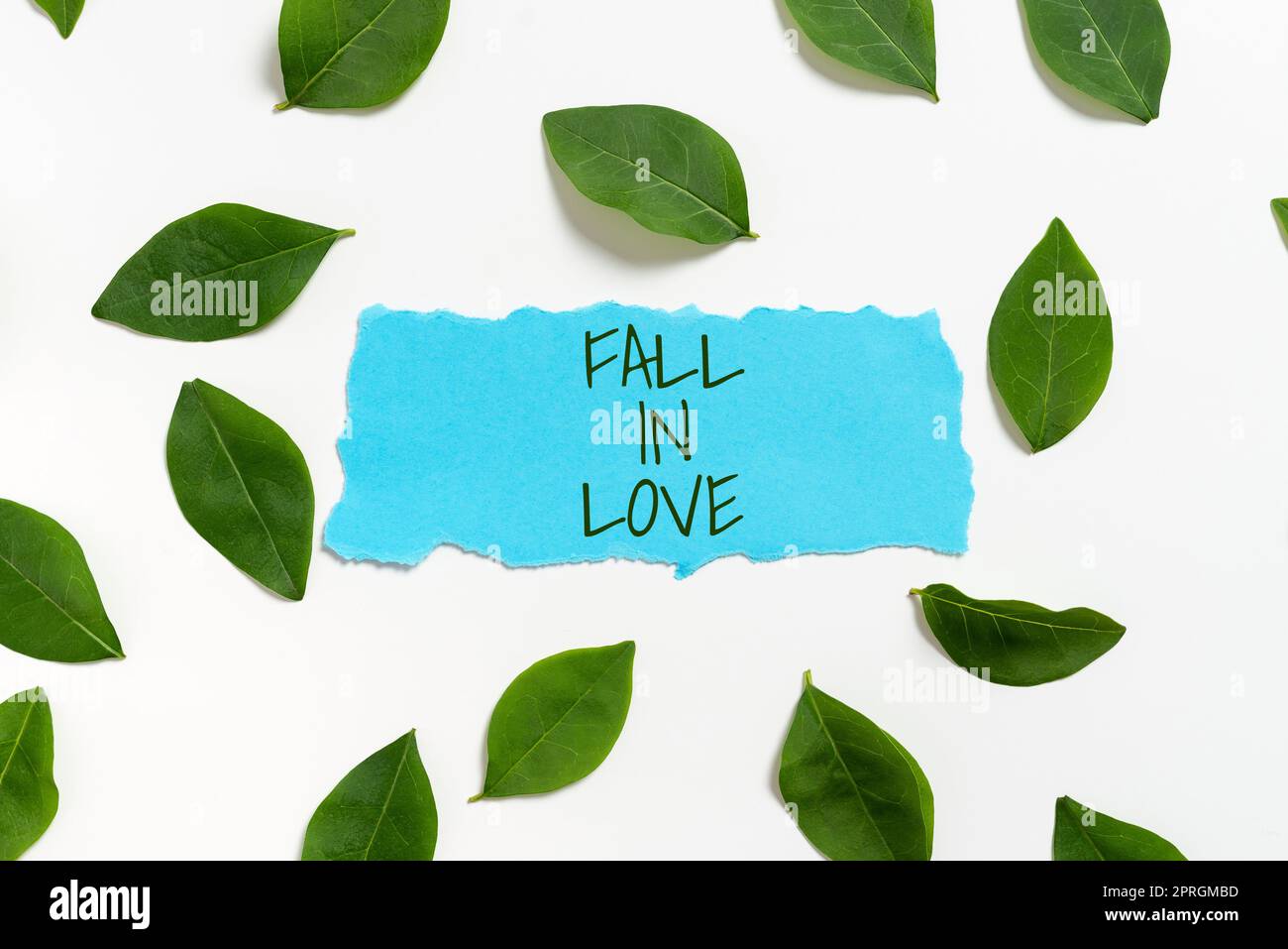 Handwriting text Fall In Love. Business showcase Feeling loving emotions about someone else Romance Happiness Blank Paper Surrounded With Leaves For Wedding Invitation And Cards. Stock Photo