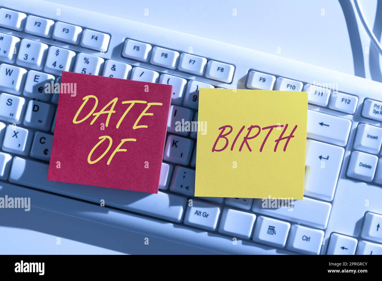 Conceptual display Date Of Birth. Business idea Day when someone is born new baby coming pregnant lady Lady in suit holding pen symbolizing successful teamwork accomplishments. Stock Photo