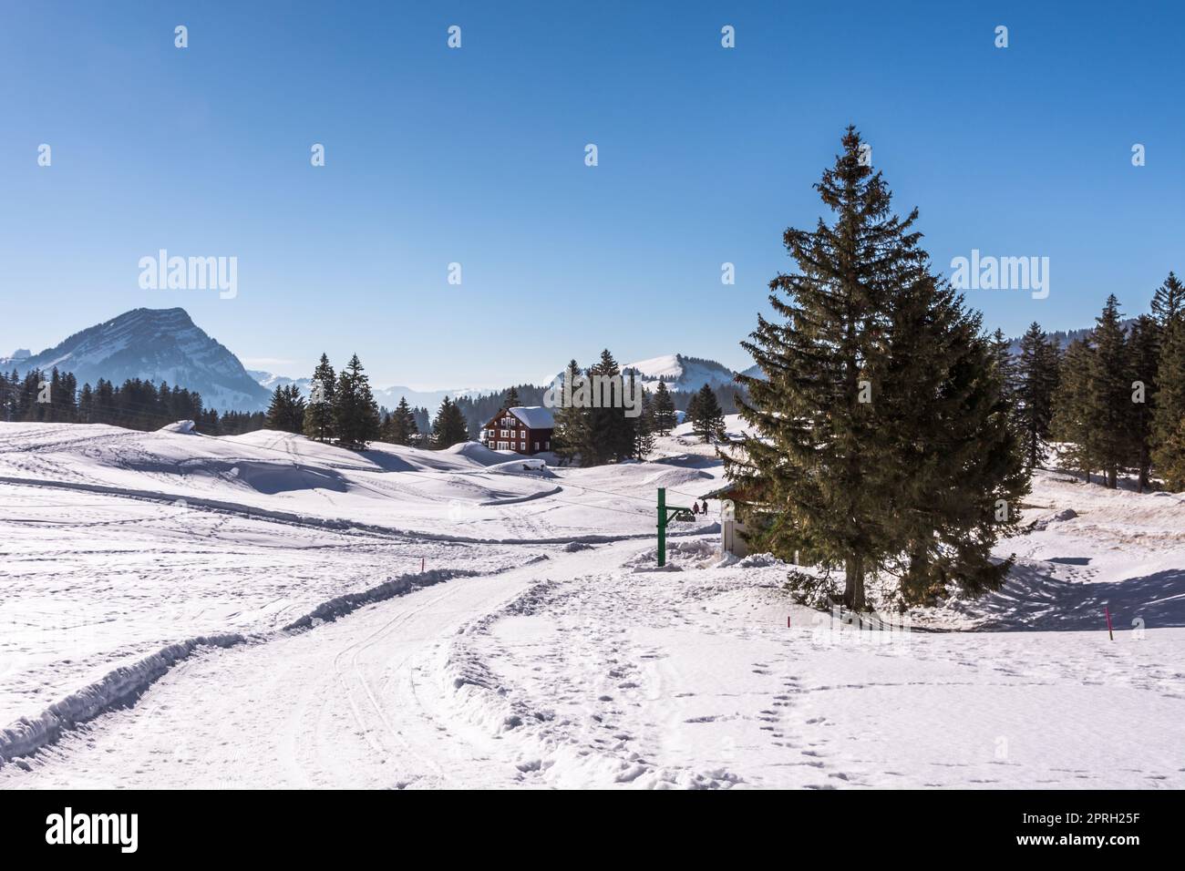 Winter landscape on the Schwaegalp, Canton of Appenzell-Ausserrhoden, Switzerland Stock Photo
