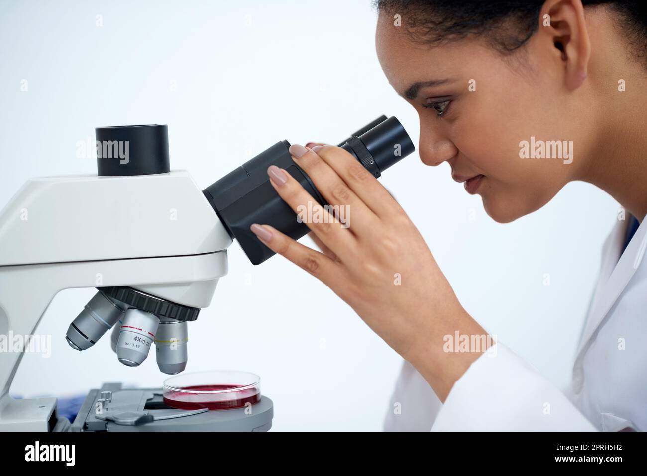 Shell get to the bottom of it. an attractive young female scientist working in her lab. Stock Photo