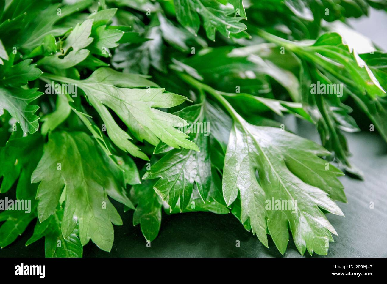 Bunch of parsley stem closeup view Stock Photo