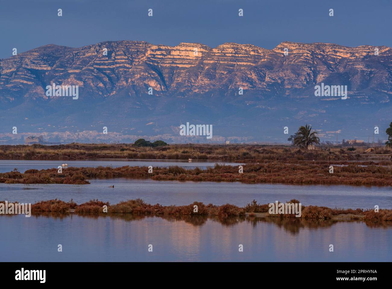 Montsià mountain range seen from near the Barra del Trabucador isthmus with its reflection on the waters of the Alfacs bay in the Ebro Delta (Spain) Stock Photo