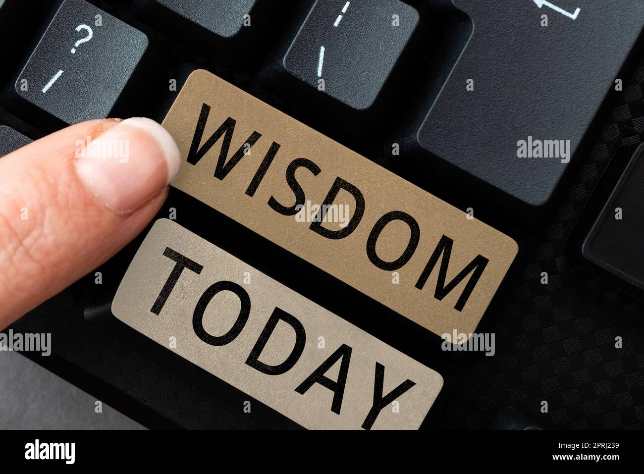 Conceptual caption Wisdom, Business concept body of knowledge and principles that develops within specific period Important Informations Written On Pa Stock Photo