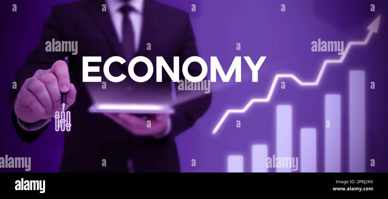 Hand writing sign Economy, Internet Concept the system of how money is ...