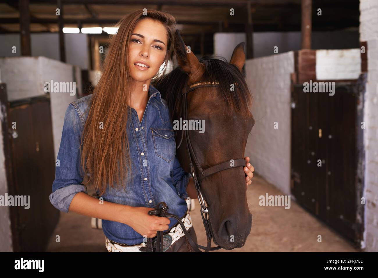 A girls best friend. a young woman tending to her horse Stock Photo