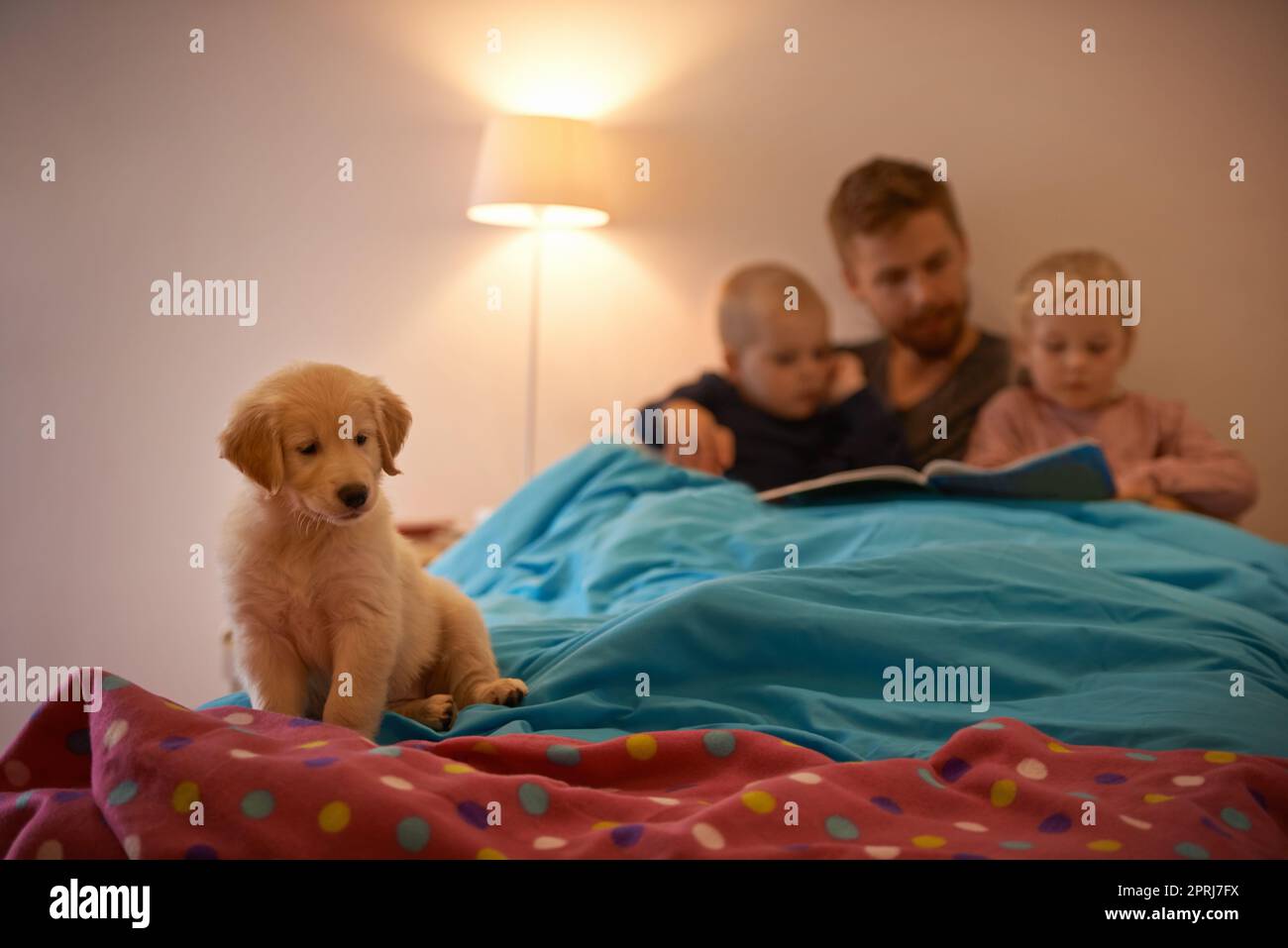 Bedtime For Puppy And Kids A Father Reading A Bedtime Story To His