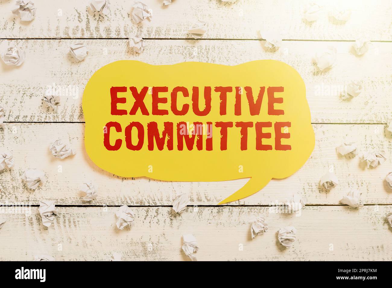 Conceptual caption Executive Committee. Business approach Group of Directors appointed Has Authority in Decisions Stock Photo