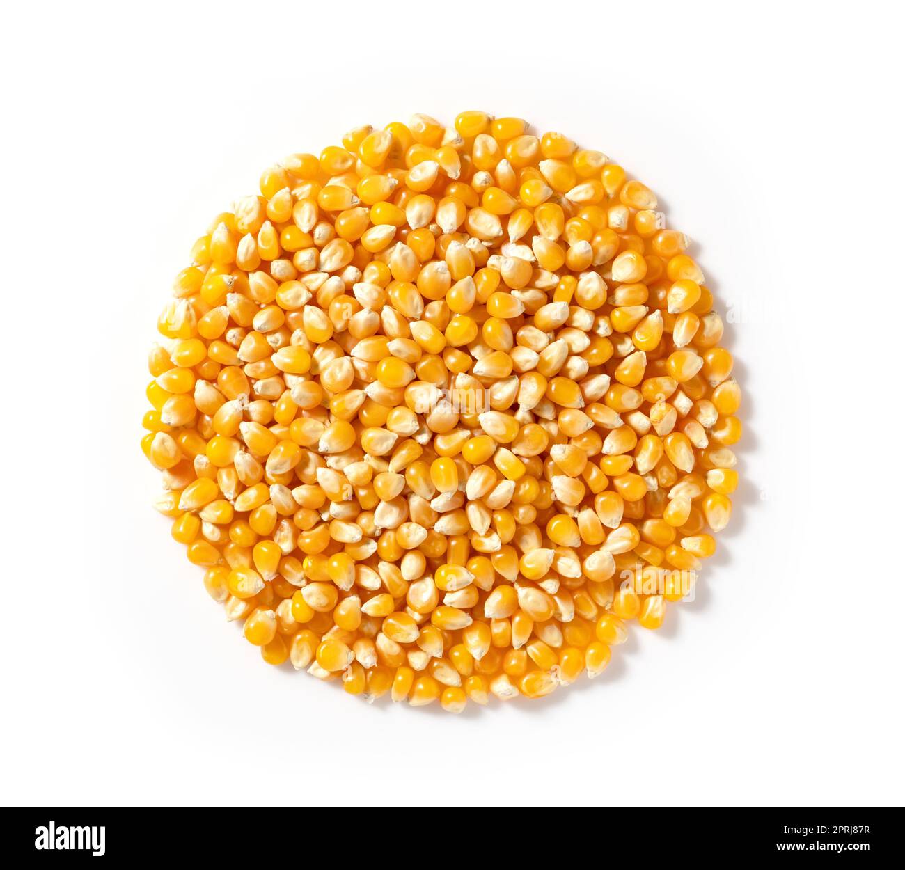 Dried corn kernels placed on a white background. Corn for popcorn. Stock Photo