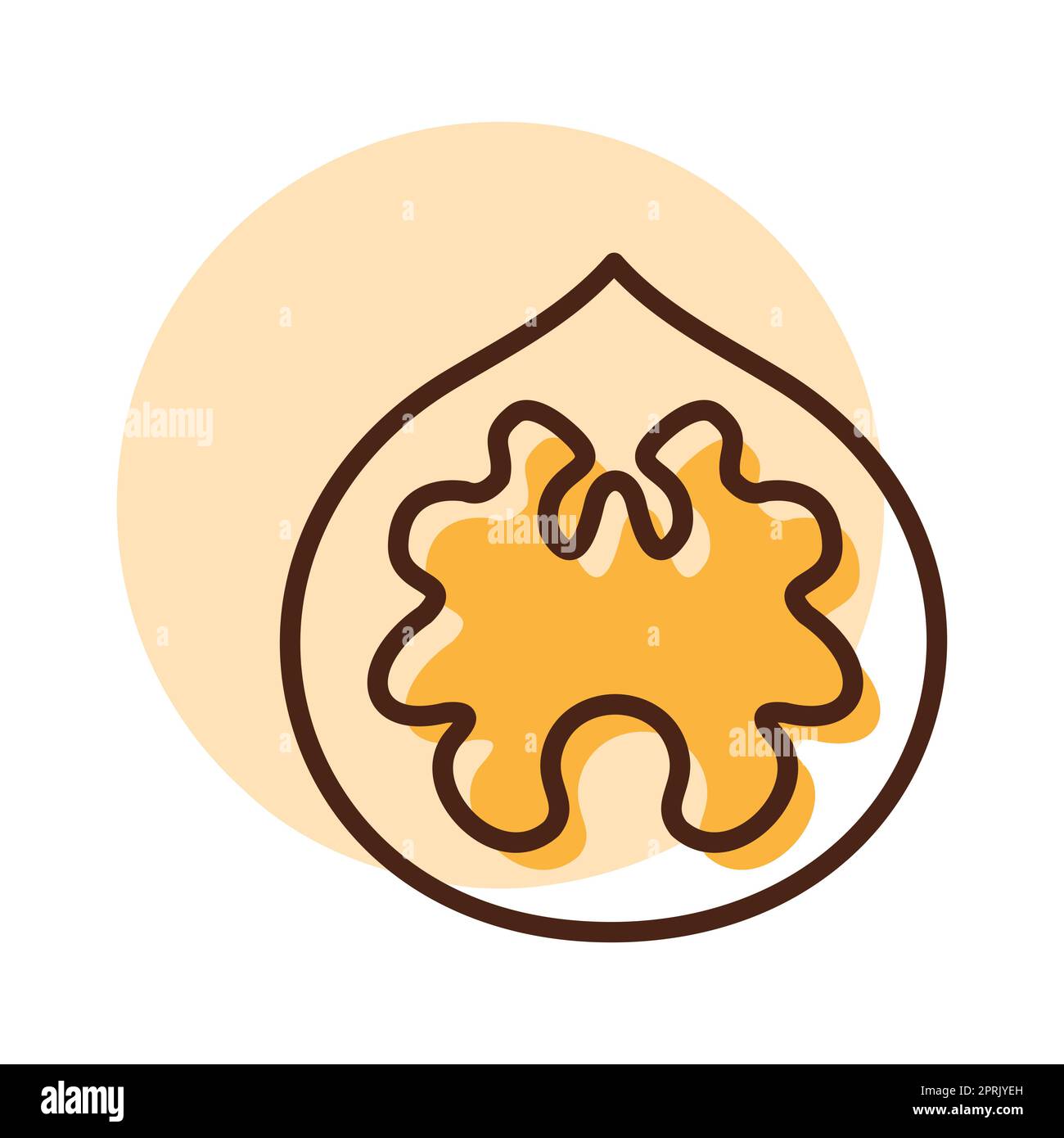 Walnut vector isolated icon. Graph symbol for food and drinks web site ...