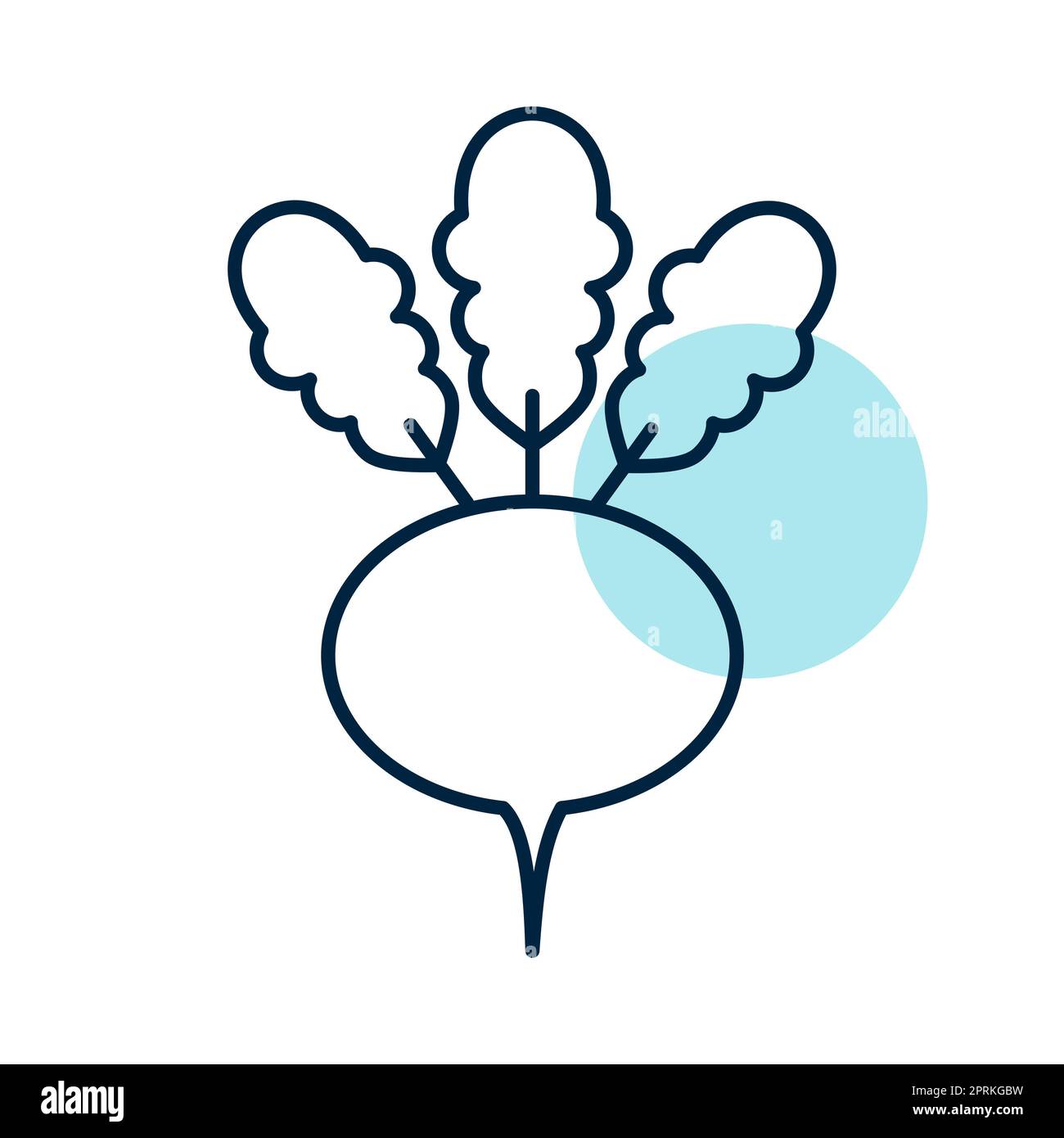 Turnip isolated design vector icon. Vegetable sign. Graph symbol for ...