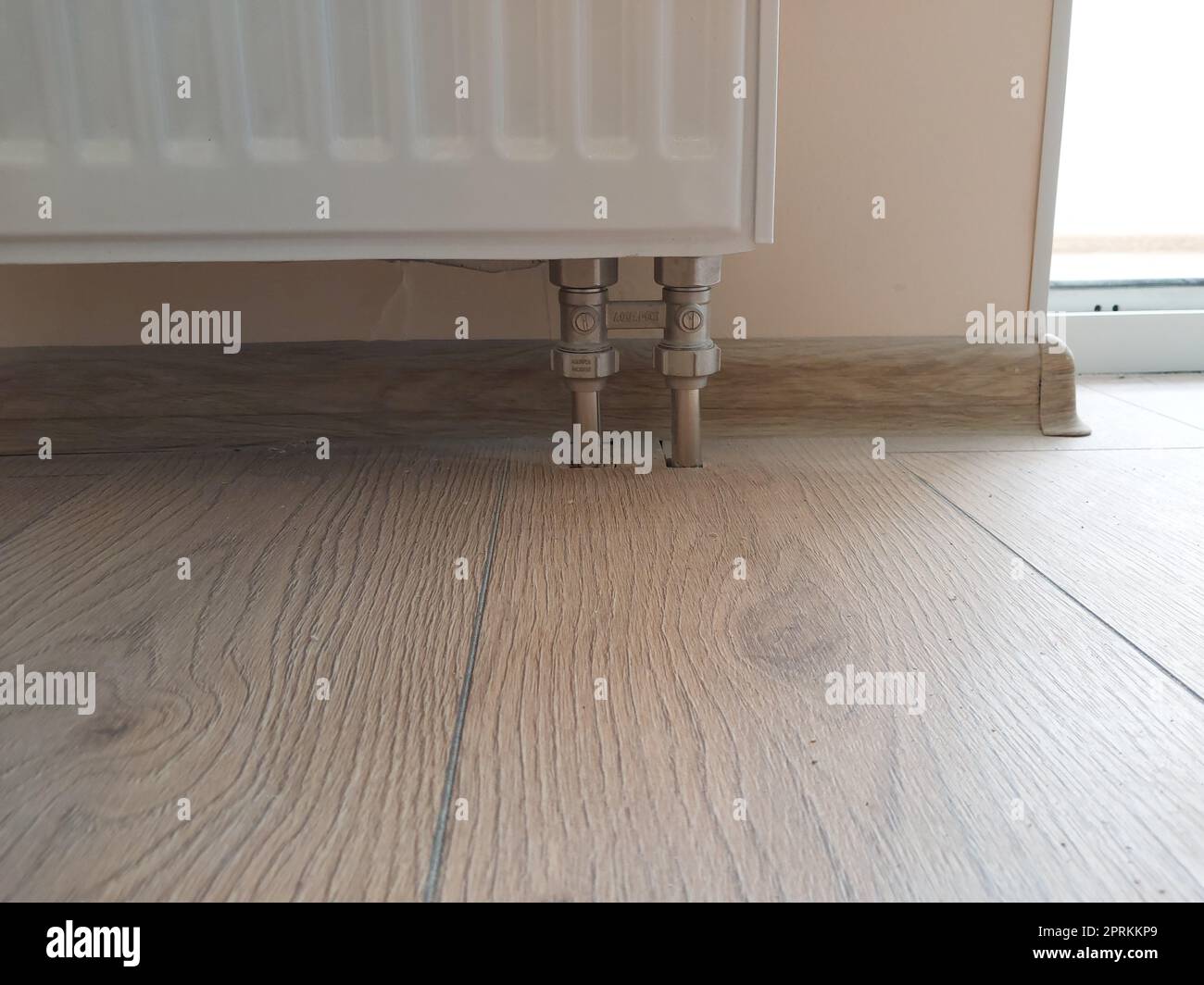 Gallery image with a fresh perspective
